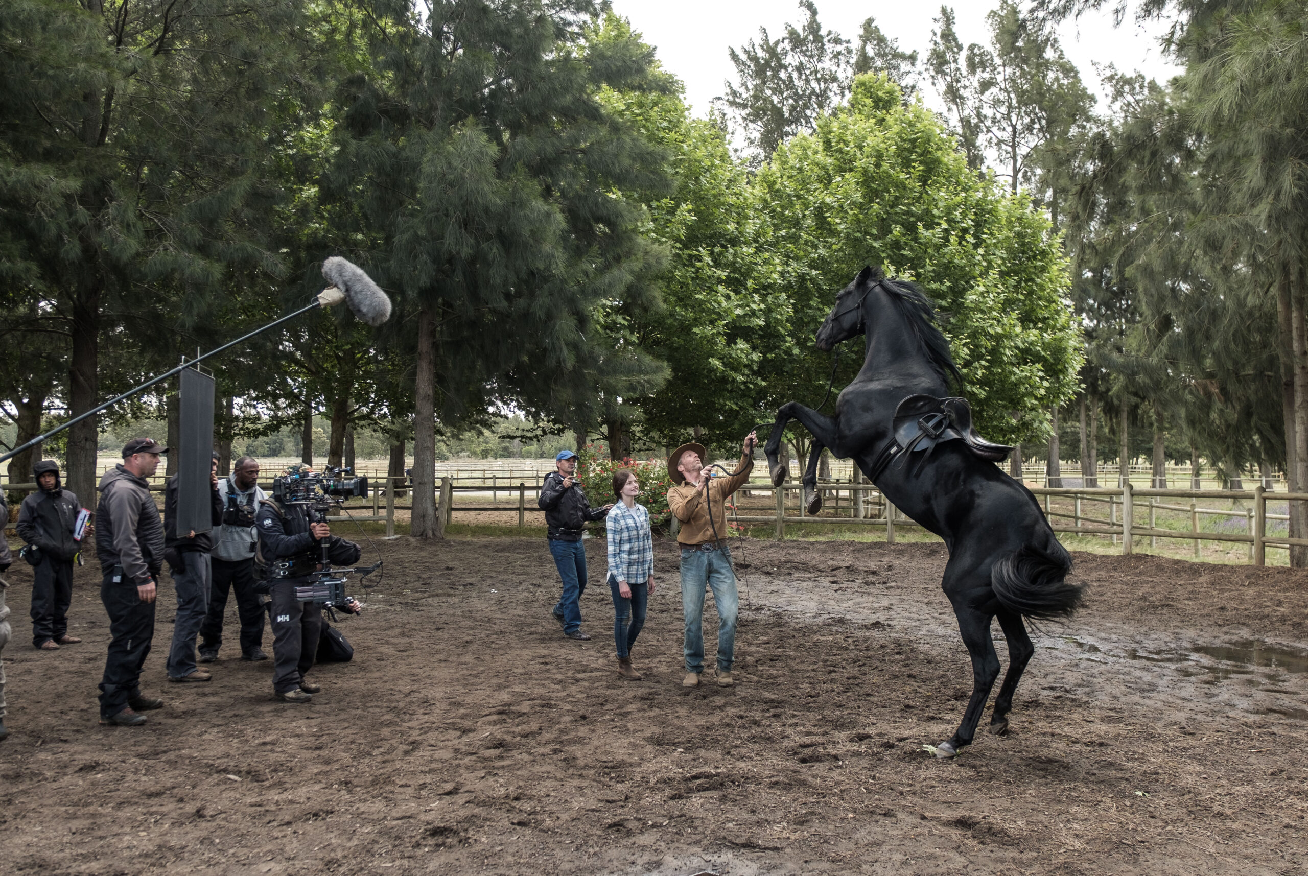 Behind the scenes, black horse rearing on a movie scene