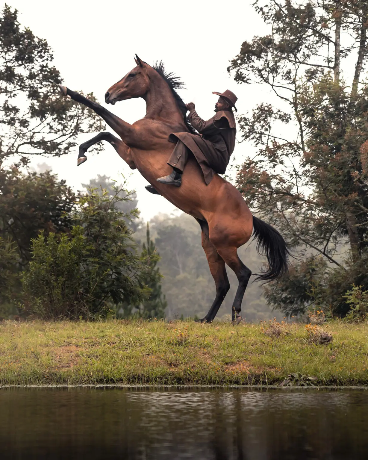 Man with a brown hat and coat rearing on a horse