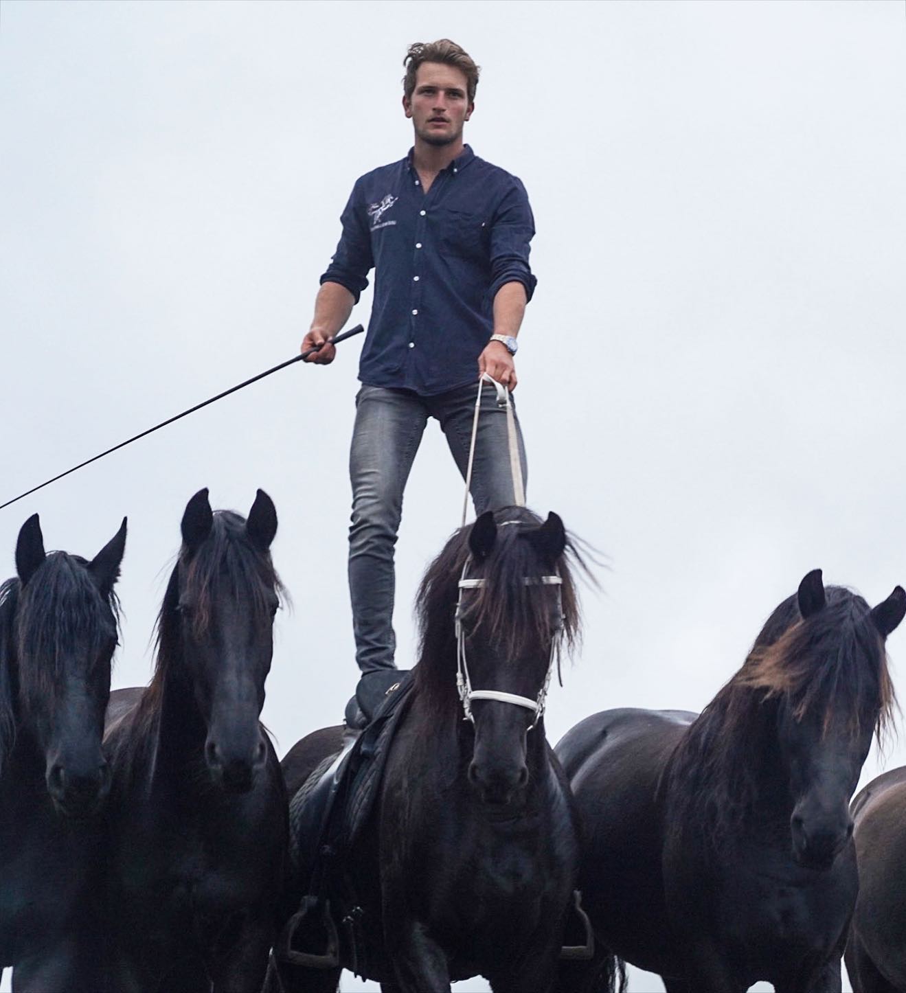 Skilled horse trainer with five horses moving in perfect coordination