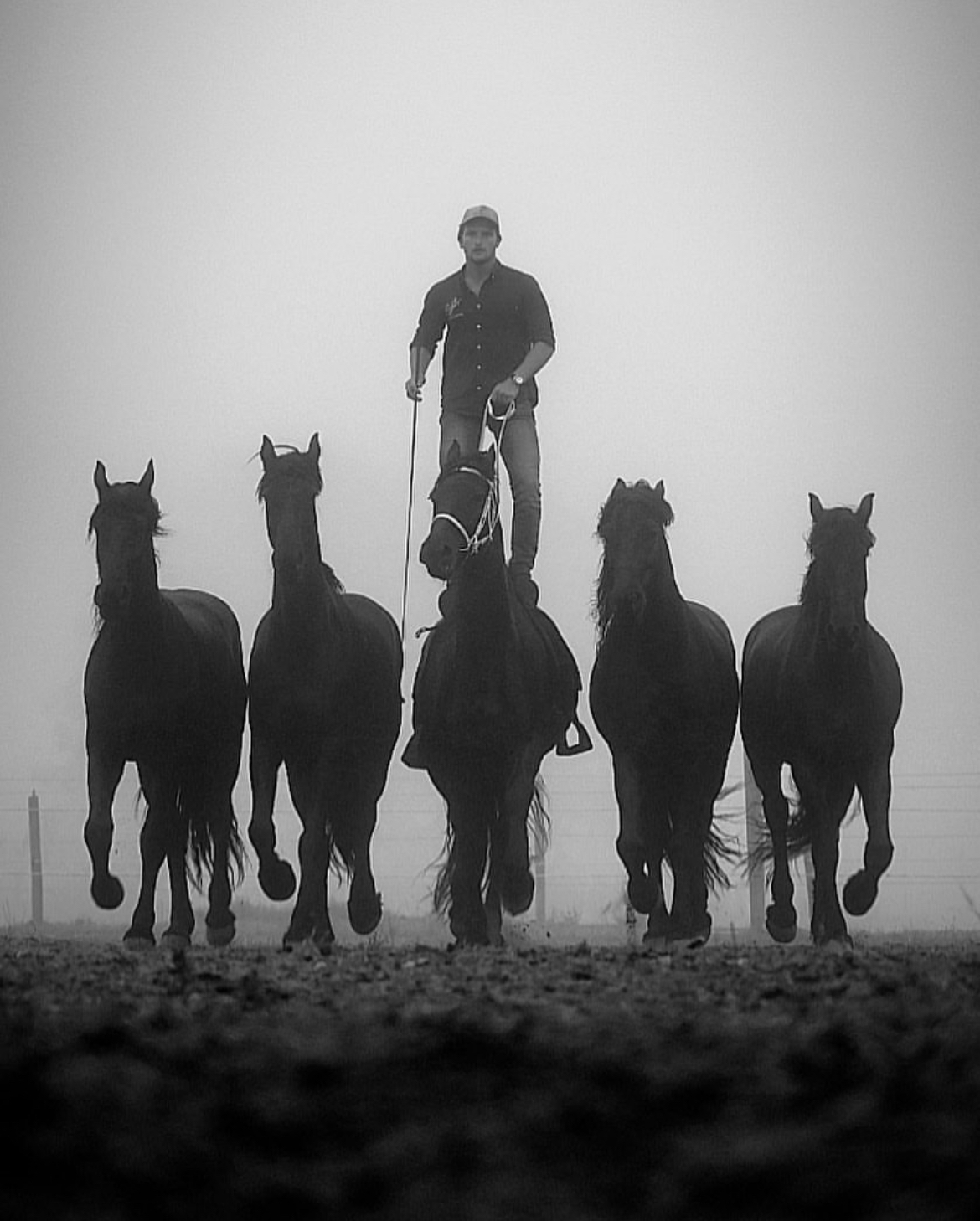 Stunt rider balancing on one horse with four others moving next to him in perfect coordination during film training