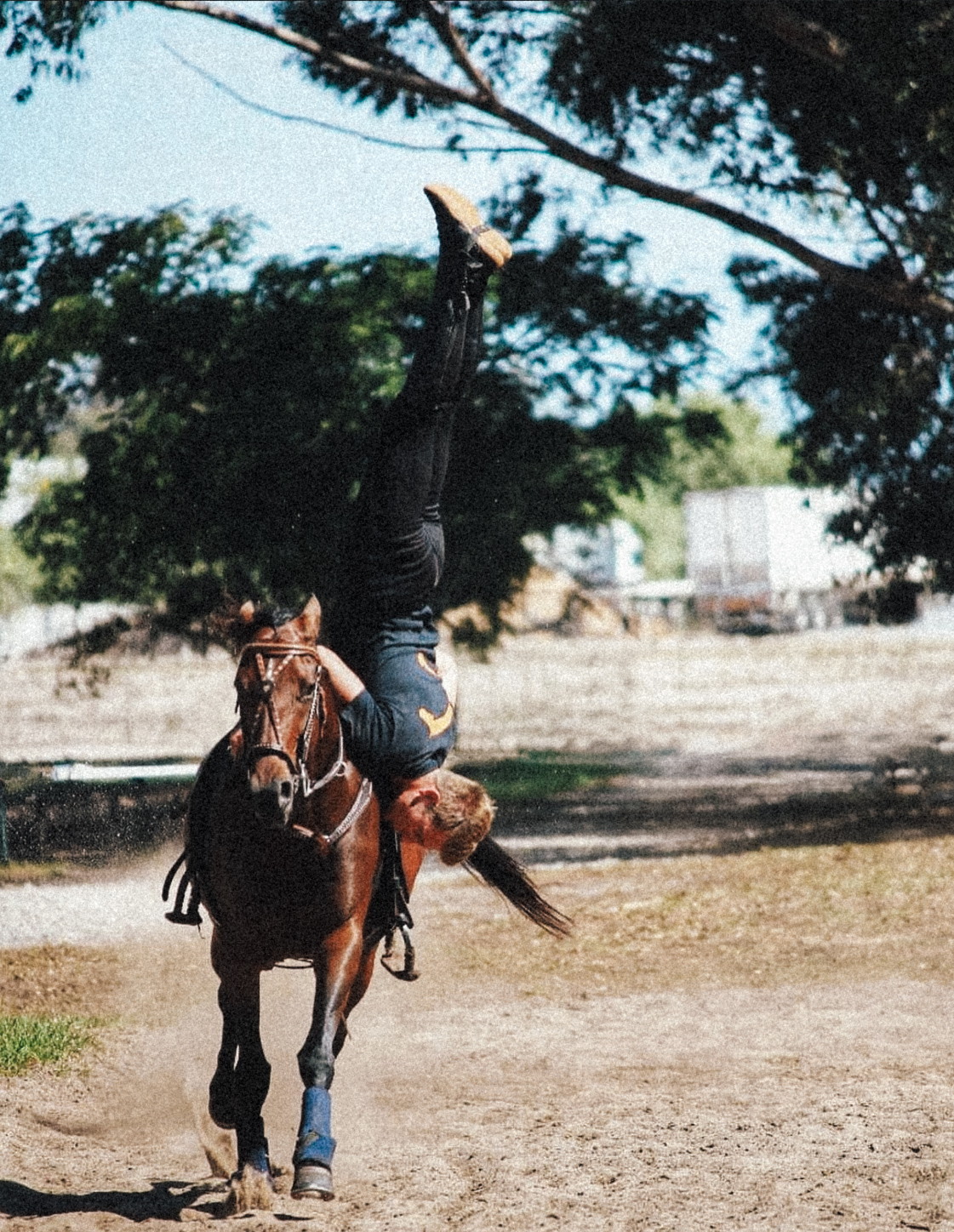 Stunt performer practicing a vaulting handstand on a horse during training for film stunts